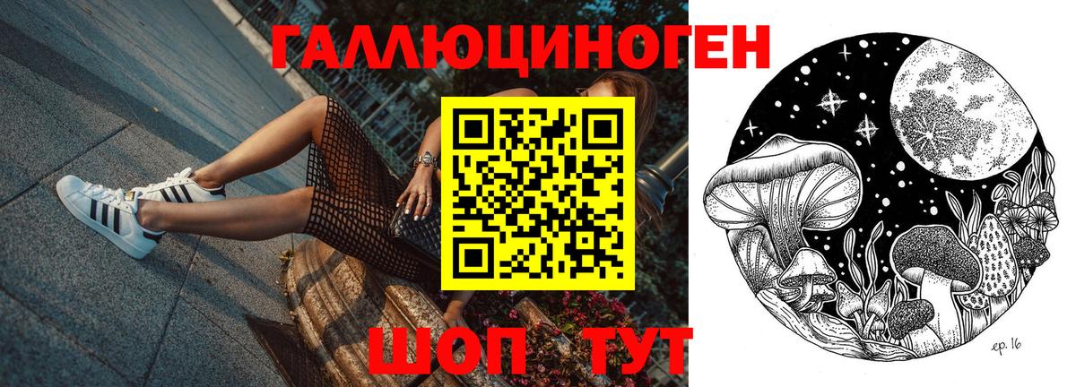 Псилоцибиновые грибы GOLDEN TEACHER Северобайкальск
